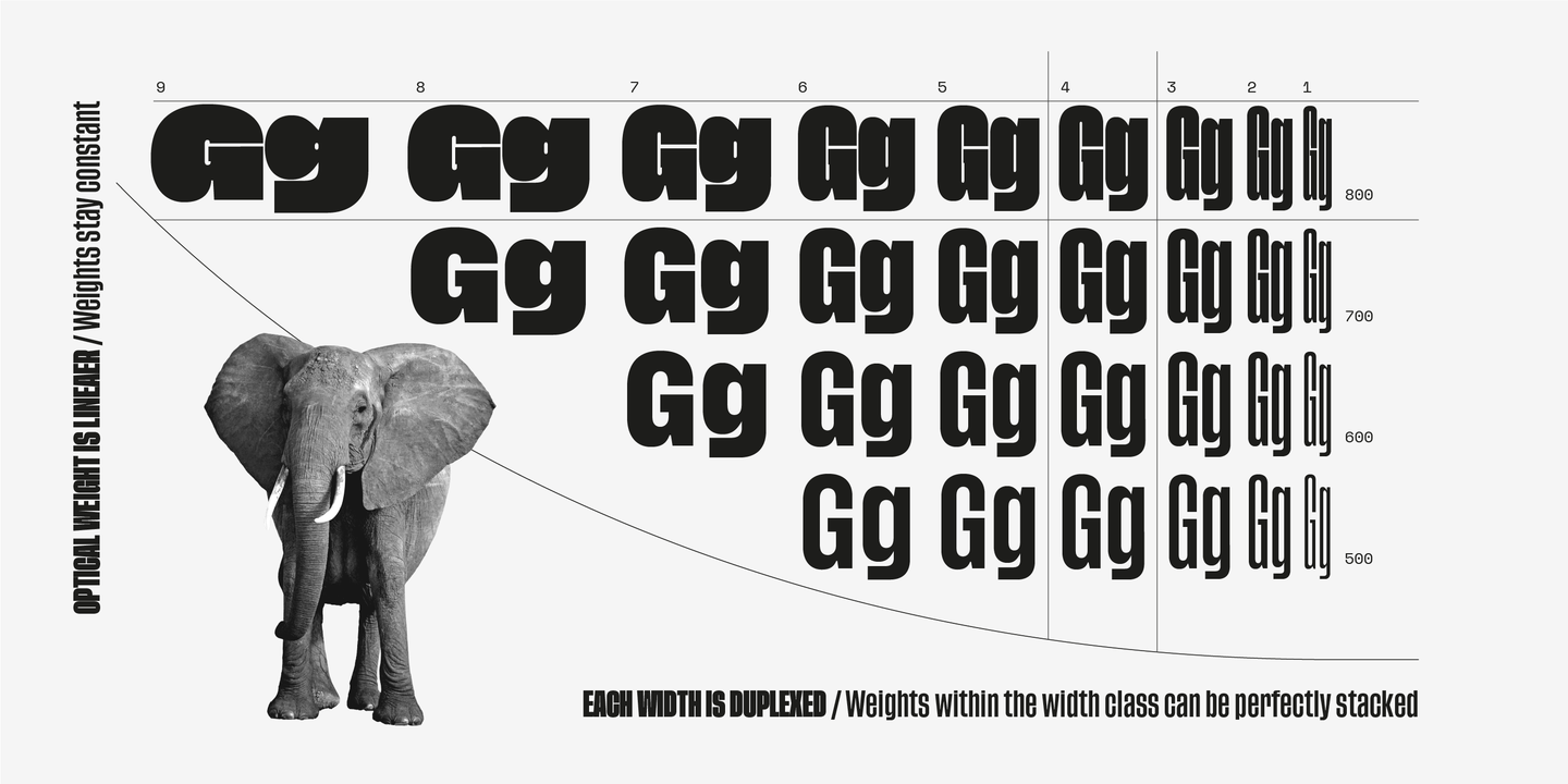 Beispiel einer Tusker Grotesk-Schriftart #6